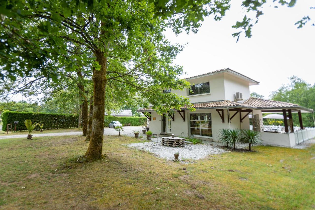 La Villa Minvia Les Landes Entre Mer Et Montagne Saint-Vincent-de-Paul  외부 사진