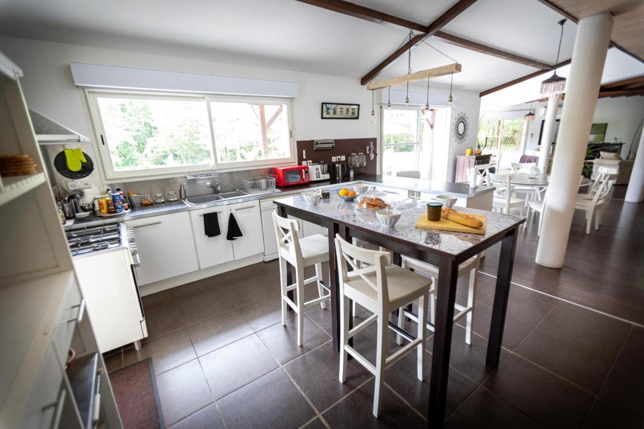 La Villa Minvia Les Landes Entre Mer Et Montagne Saint-Vincent-de-Paul  외부 사진